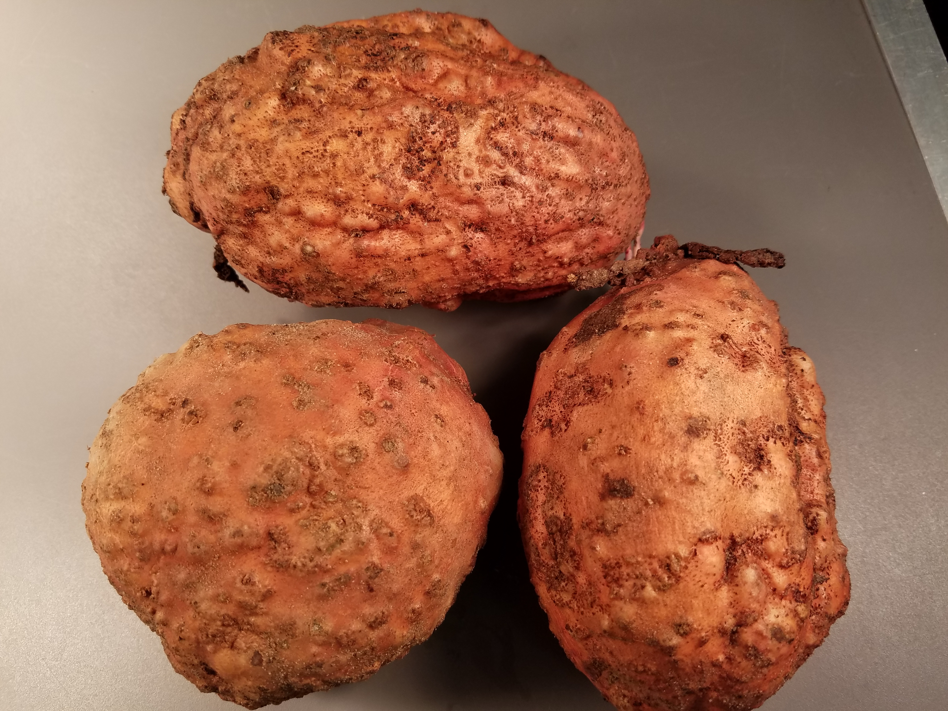 Multistate team awarded $5 million to research invasive species harmful to sweet potatoes 